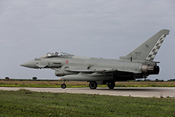 AM BIRGI 250211 TF25 CD8R1243T