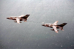 AM ST36GR156 TORNADOIDS buddy TORNADOIDS ExDH 1987 AM T