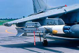AV8tnail 10