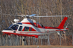 VF A109 VF81 20171229 MXP MaCr T