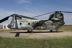 EI CH47 80823 20150629 Viterbo GiCi Special colors T