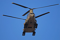 EI CH47 80833 20090217 Verona MaCr T