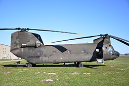 EI CH47 80834 20130204 Viterbo GiCi T