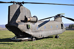 EI CH47 80839 20130204 Viterbo GiCi T