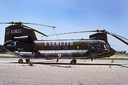 EI CH47 80847 19900629 Viterbo PaRo T