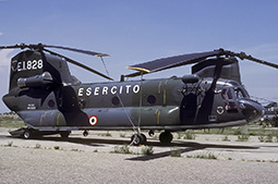 EI CH47 81229 19900629 Viterbo PaRo T