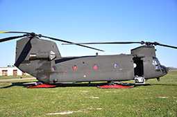 EI CH47 81460 20130204 Viterbo GiCi T