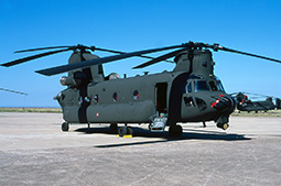 EI CH47 81778 20150826 Viterbo ClCa T