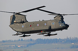 EI CH47 81789 20230313 Verona MaCr T