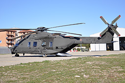 EI NH90 81524 20130204 Viterbo GiCi T
