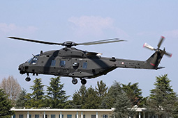 EI NH90 81558 20190316 Casarsa RoZa T